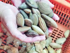 -巽寮印象美食部落餐厅·海鲜·地方特色菜(惠州体验店)