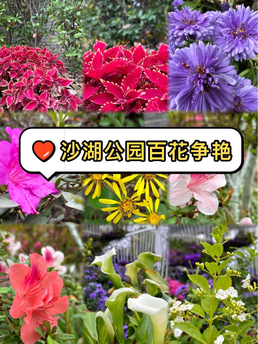 百花争艳打一数字(百花争艳打一数字是几)
