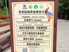 -西双版纳原始森林公园