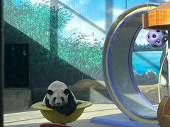 -鄂尔多斯野生动物园