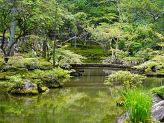 -西芳寺(苔寺)