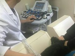 -德元·美联众合24小时动物医院(总院)