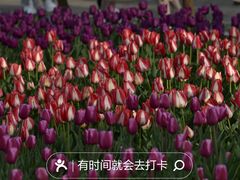 -国家植物园