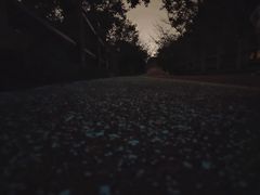 -尚贤河湿地