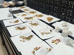 -北京同仁堂中医诊所(新华路店)