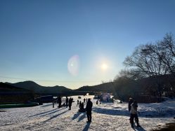 -浅山蜜塘奇妙乐园·亲子营地