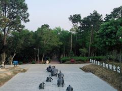 -广东惠东海龟国家级自然保护区