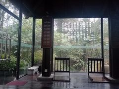 -青城道汤池