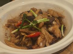 -锦粤宫·精致粤菜(深圳北站店)