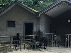 -昆明动物园