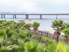 -海堤纪念公园