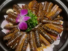 -全聚德烤鸭店(准噶尔路店)