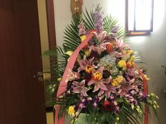 -弘善堂推拿调理