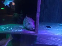 -沈阳海洋探索中心