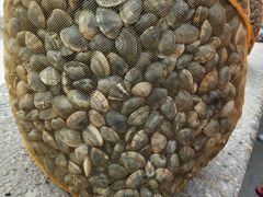 -北海金海湾红树林生态旅游区