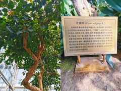 -国家植物园南园