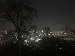 -东湖落雁景区