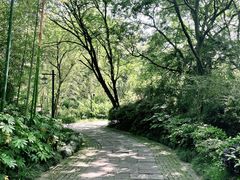 -法云安缦酒店