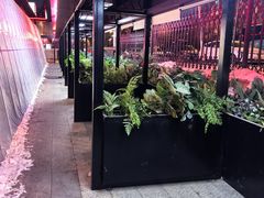 -鼎原力量东北吊炉烧烤(幸福街店)