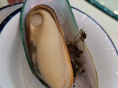 青口-喜相逢海鲜美食城(五邑平价农副产品批发市场店)