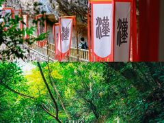 -光雾山旅游景区