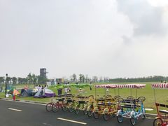 -春花秋色城市公园