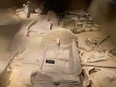 -洛阳周王城天子驾六博物馆