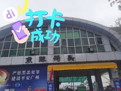 -鱼珠码头(轮渡站)