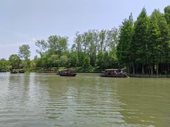 -溱湖国家湿地公园