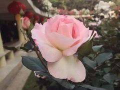 -人民公园(罗湖区)