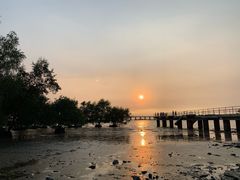 -宝安西湾红树林湿地公园