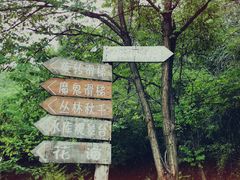 -欢乐松鼠谷