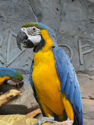 -Zoolung Zoolung动物主题公园(海信广场店)