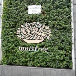 -悦诗风吟innisfree