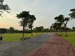 -万绿园