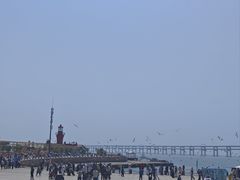 -星海湾跨海大桥
