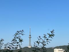 -青岛海滨风景区小鱼山