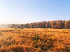 -塞罕坝国家级自然保护区