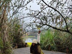 -桤木河湿地公园