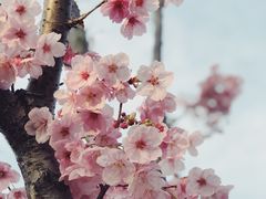 -杭州城北体育公园