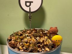 -Seesaw Coffee(上海尚悦湾店)