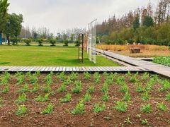 -前小桔亲子创意农场·草莓采摘·露营烧烤