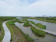 -春花秋色城市公园