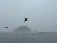 -棒棰岛宾馆景区