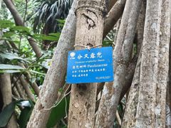 -中国科学院西双版纳热带植物园