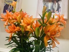 -燕庭·纯燕窝·甜品下午茶(日月光店)