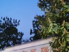 -白佛山景区
