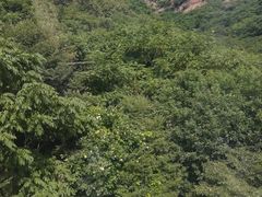 -吉林拉法山