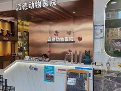 -pd派德宠物中心医院24H急重症·眼科中心·血液透析中心(嵩山北路店)