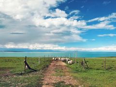 -青海湖国家重点风景名胜区